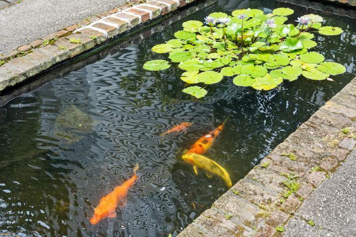 Serene Cottage With Beautiful Garden And Heated Pool Charleston Bagian luar foto